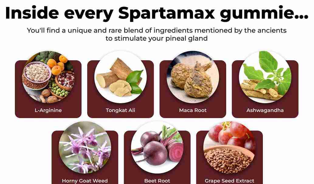 Ingredients In SpartaMax
